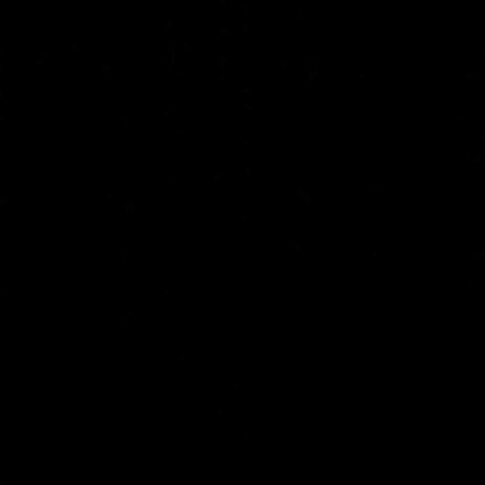 Meet your Posher, Camiyah